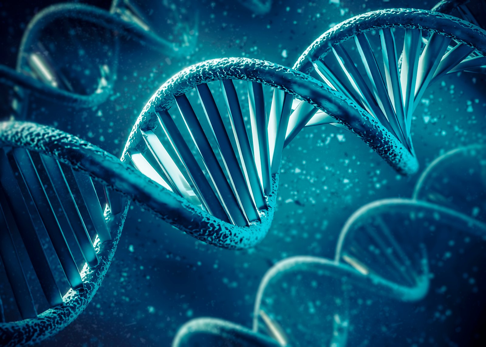 Quanto tempo demora para ter o resultado de um exame de DNA?